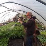 George Plummer - @george.plummeriv - Instagram