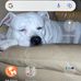 George Poling - Facebook