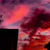 George Popovici Alexandru - @george.popovici.a - TikTok