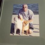 George Postelli - @george.postelli - Instagram