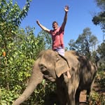 George Prassas - @george_prassas - Instagram