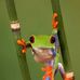 George Prassas - Facebook