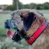 George Prosser83 - @georgeprossr - TikTok