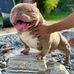 George Puckett - Facebook