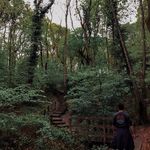 George Pullin - @georgepullin7 - Instagram