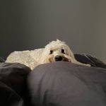 George Quick - @georgequickorso - Instagram