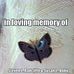 George Radcliffe - Facebook