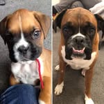 george - @_georgerae - Instagram