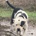 George Rainey - Facebook
