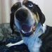 George Rainey - Facebook