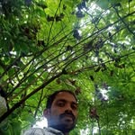 Ratheesh George - @ratheesh.george.90 - Instagram