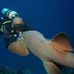 George Roatan - Facebook