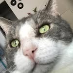 George Sheldon Rawding - @george_s.rawding - Instagram