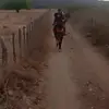 georgeribeiro68 - @georgeribeiro68 - TikTok