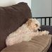 George Rickard - Facebook