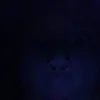 George_Rickard - @George_Rickard - TikTok