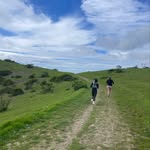George runs the bay area ridge trail - @georgerunsthebay - Instagram