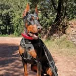 George River - @sura_dober - Instagram