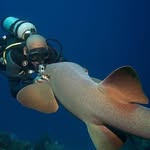 George Roatan - @george_roatan - Instagram