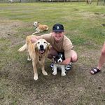 George Robey - @georgerobey - Instagram