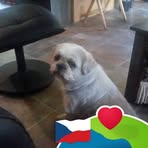 George Robichaud - Facebook