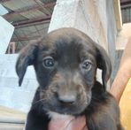 George Rochon - Facebook