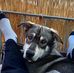 George Rocksy - Facebook
