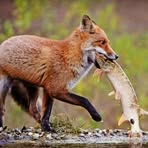 George Rodwell - Facebook