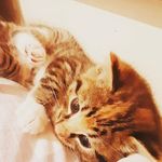 Georgie - @george_roeder - Instagram