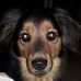 George Roets - Facebook