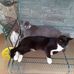George Rogacki - Facebook
