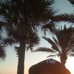 George Roldan - @george.roldan.5648 - Instagram