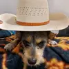 george Roldan - @george6963 - TikTok