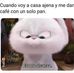 George Rolon - Facebook