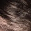 georgerommel7 - @georgerommel7 - TikTok
