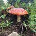 George Rominski - Facebook