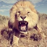 George Roop - @georgeroop - Instagram