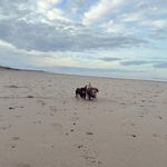 Penny & George Rowell 🌭 - @therowellsausages - Instagram