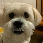 George - @george_rules_the_world_0714 - Instagram