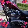 georgerust397 - @georgerust397 - TikTok