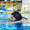 George Saavedra - @georgesaavedra27 - TikTok