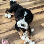 George Sachs - @george_bob84 - Instagram