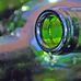 George Sachs Photography - Facebook