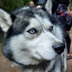 George Sager - @georgesager5 - Instagram