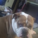 George Sager - @george.sager.982 - Instagram