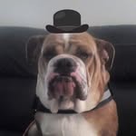 George Sager - @georgesager2 - Instagram