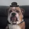 George Sager - @george.sager - TikTok