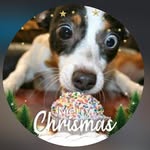 George Salgado - @georgesallgado11 - Instagram