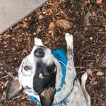 George Samuelson - @samuelson_george - Instagram