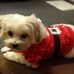 George Scanlon - Facebook
